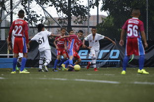 九游游戏中心官网-中国足球协会召开年度总结大会,中国足球协会会长是谁